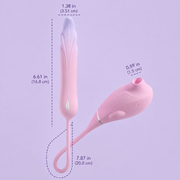 Ari G-Spot & Clitoral Vibrator